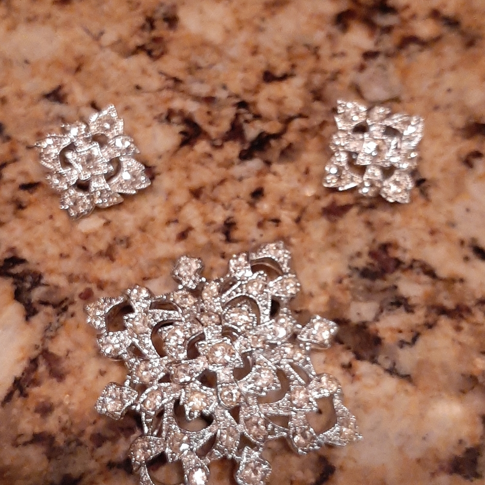 Earrings and Brooch